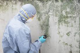 Reliable Como, MS Mold Removal & Remediation Solutions